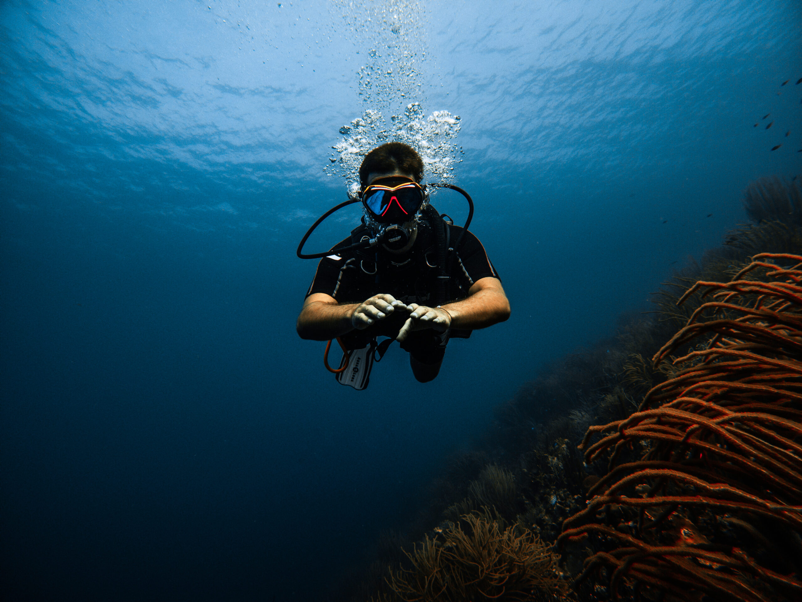 Caribbean Charter Experience